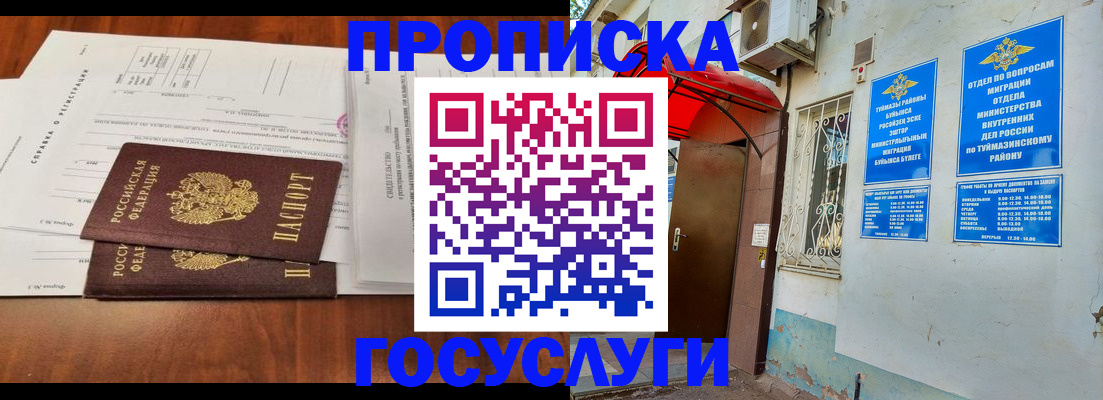 прописка в квартире в Бабаево